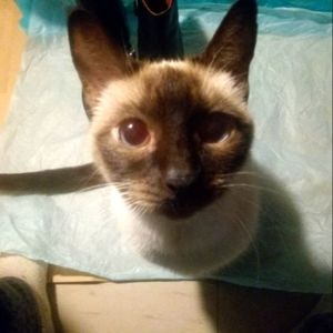 Meet your Posher, Karen